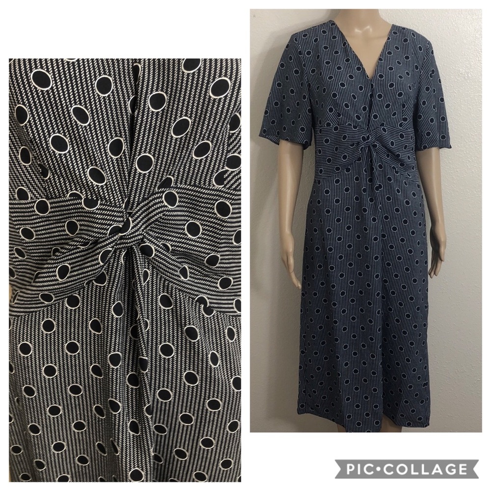 🆕 Ann Taylor Factory Polka Dot Navy Dress